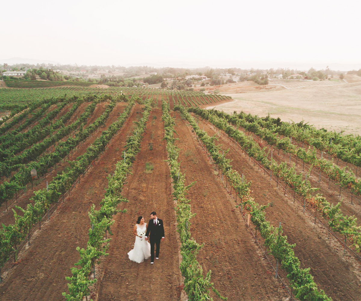 Danza Del Sol Winery By Wedgewood Weddings | Romantic Wedding Venue For You